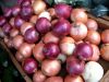 Round fresh red and Yellow onions fresh cheap onion