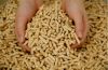 Quality Wood Pellets & Hardwood Charcoal