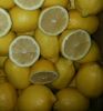 Eureka Lemon, Fresh Lemon, Anyue Lemon