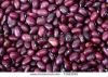 Low Price Wholesale New Crop HPS purple speckled kidney bean