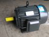 three phase induction motor