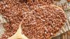 Best Quality Flax Seed / Linseed