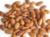 Almond Nuts Price / Almond Kernel / Almond Price
