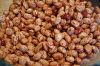 Pinto Beans (Best Quality and Prices)