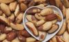 High in Calories and Fat Brazil Nuts Available for Sale