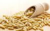 Pine nuts For sale Fast shipment