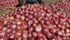 FRESH RED ONIONS