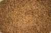 BARLEY GRAINS AND MALT BARLEY FOR SALE