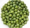 FRESH GREEN OLIVES