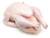 WHOLE CHICKEN m Halal Whole Frozen Chicken/ Quarter Legs/ Feet/ Paws