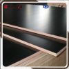 Film Faced Shuttering plywood