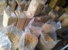 Wholesale for premium quality w240 w320 cashew nuts/cashew kernels