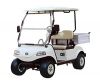 Evolution Golf utility Cart Turfman 2 Passenger seat burden industrial carrier