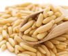 Pine Nuts at competitive Market Prices