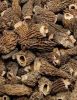 Dried Morchella Wild Mushroom