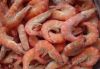 Frozen Pud Red Shrimp For Sale