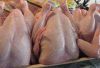 Best Quality Halal Whole Frozen Chicken !!! Chicken Breast/Legs/Parts For Sale