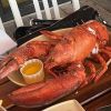 WHOLE WFROZEN LOBSTER / FROZEN LOBSTER TAIL / FRESH LIVE LOBSTER