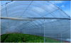 Greenhouse Film