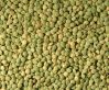Green lentils new crop