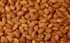 Wholesale Almonds/ Almond Kernels