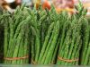 FRESH GREEN ASPARAGUS HIGH QUALITY BEST PRICE