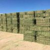 Cheap Alfafa Hay for Animal Feeding Stuff Alfalfa , hay/alfalfa hay/high vitamin rabbit hay food for wholesale