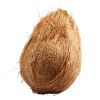 FRESH SEMI HUSKED COCONUT/ Desiccated Coconut / Fresh mature coconut