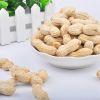 High quality raw peanut in shell for sale in bulk