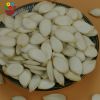 Wholesale high quality snow white pumpkin seeds with low price