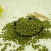 Green mung bean