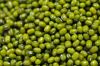 Grade A green mung beans