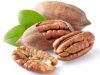 Pecan Nuts