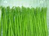 FRESH GREEN ASPARAGUS HIGH QUALITY