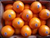 Fresh Navel Oranges High Quality
