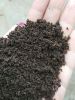 Organic fertilizer biohumus