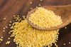 High quality Millet for sale with reasonable price and fast delivery !!