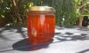 100% Original Pure Stingless Bee Honey