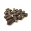 High Quality Jatropha Seeds /  Jatropha Seeds