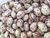 Light Speckled Kidney Pinto Beans