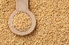 Quinoa Grain/ Quinoa Seeds/Organic Quinoa Grain for sales