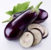 Fresh Eggplant, Vegetable