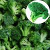 frozen fresh broccoli