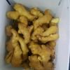 best Quality Natural Farmer Shell Ginger