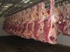 Quality Halal Frozen Boneless Beef Meat For Export