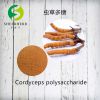 Cordyceps Extract Cordyceps Polysaccharides