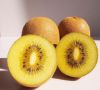 supplying the fresh golden and red kiwi fruit