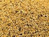 Animal Feed Seaweed Meal for sale ta a modraste price