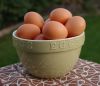 Fertile Hatching Chicken Eggs