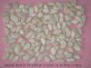 Grade AA shine skin pumpkin seeds kernels, hulled snow white pumpkin seed kernels wholesale